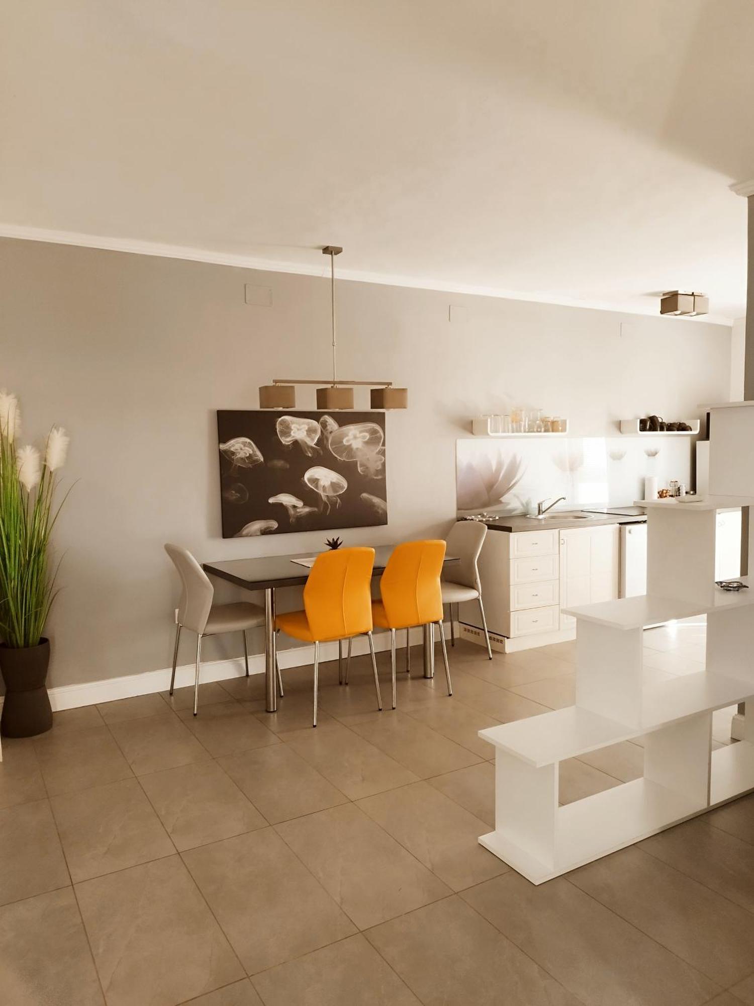 Apartments Merlin Novigrad Istria Kamer foto
