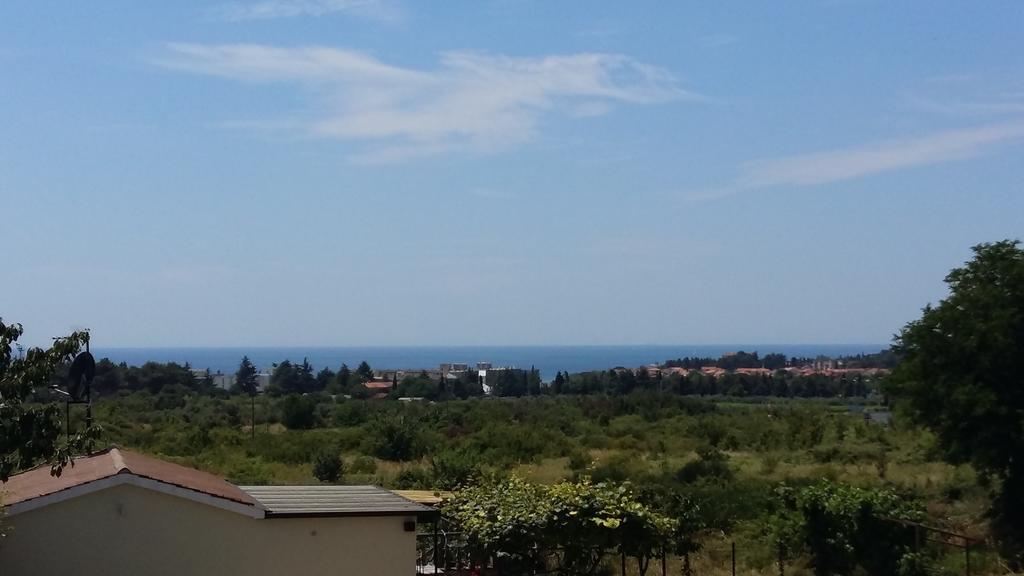 Apartments Merlin Novigrad Istria Buitenkant foto
